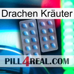 Drachen Kräuter viagra4